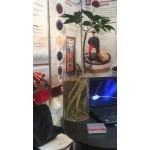 Экстракт  красного корейского женьшеня  30 г KGC   Корея  
